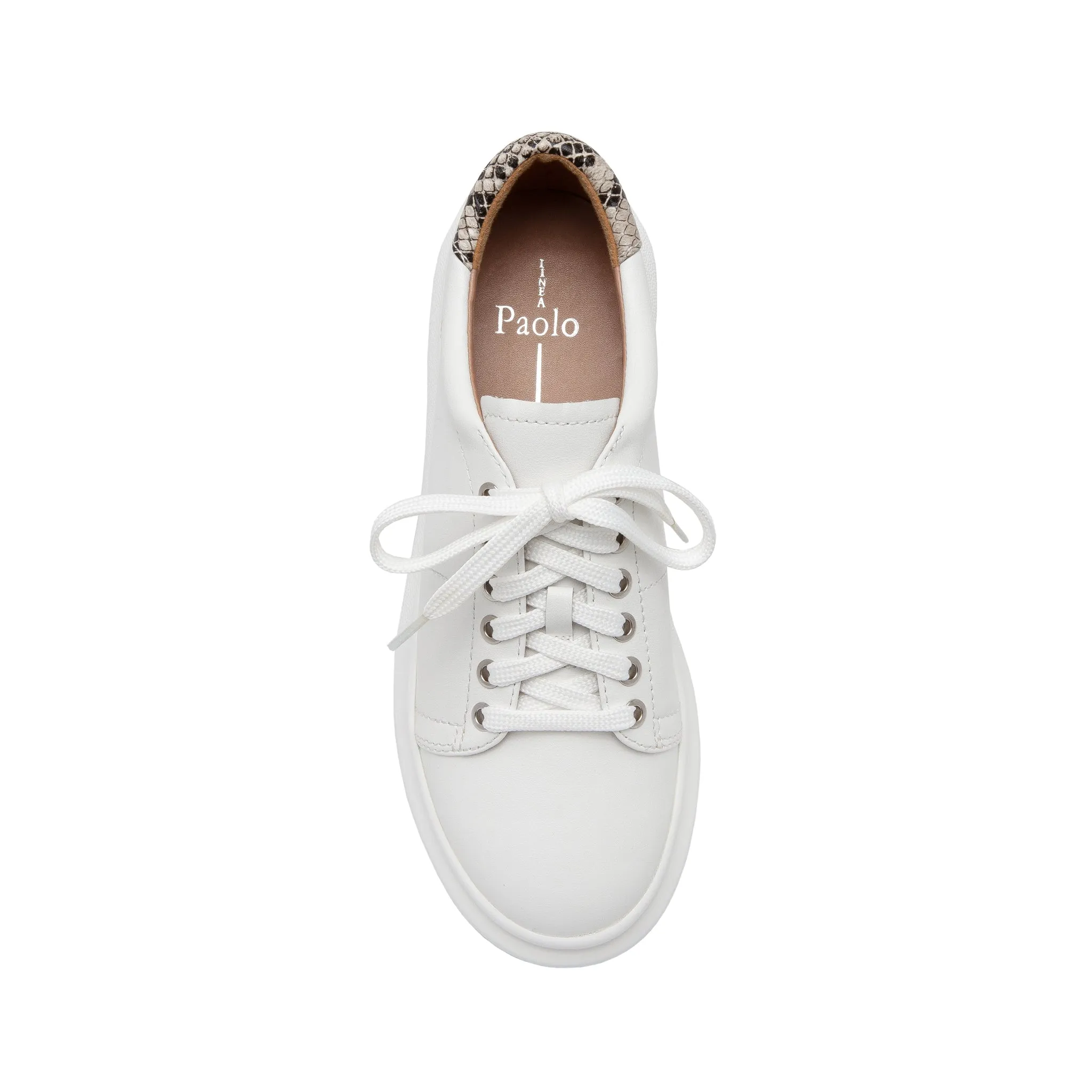 KELSEY | Platform Tennis Shoes Print