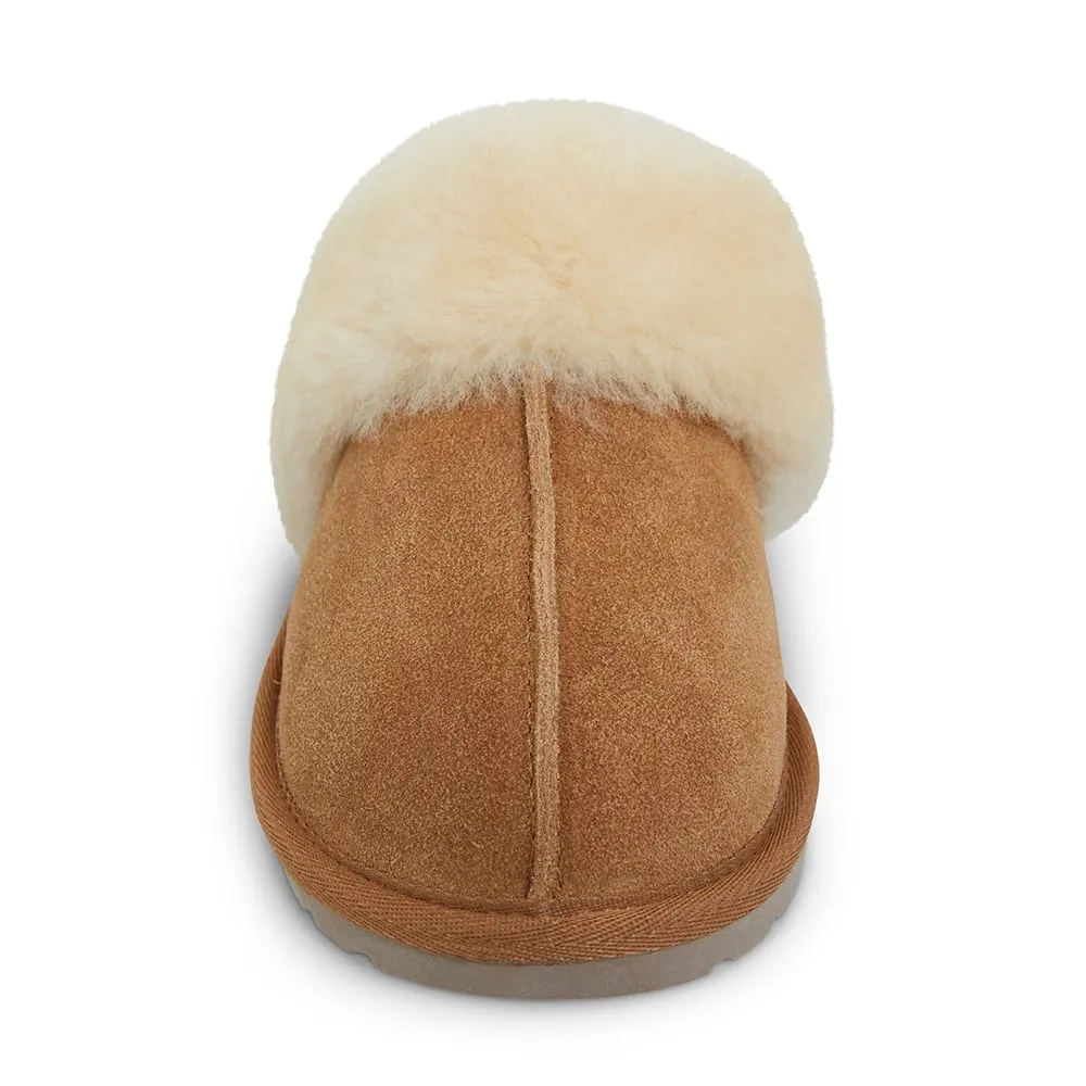 Peggy Slipper in Chestnut Suede