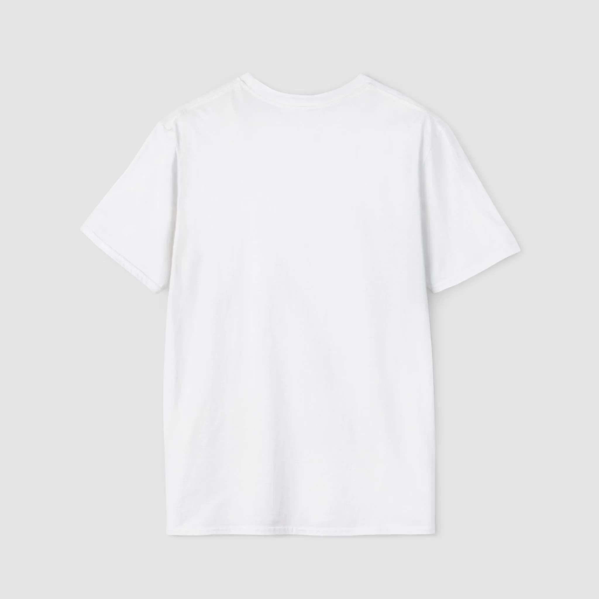 "Flat-Chested Girls Have Big Hearts." | Text Only | T-Shirt